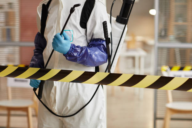 Professional Hoarding Cleanup technician working in Hamilton, WA